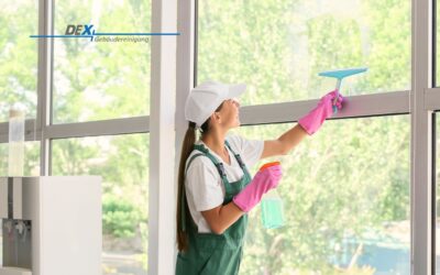 Fensterreinigung: So erzielen Sie streifenfreie Ergebnisse